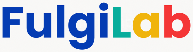 Fulgi Lab